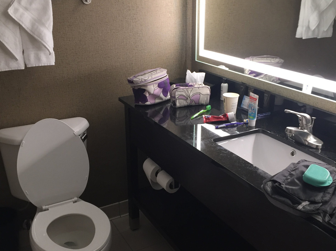 Wingate by Wyndham Lima Downtown主图