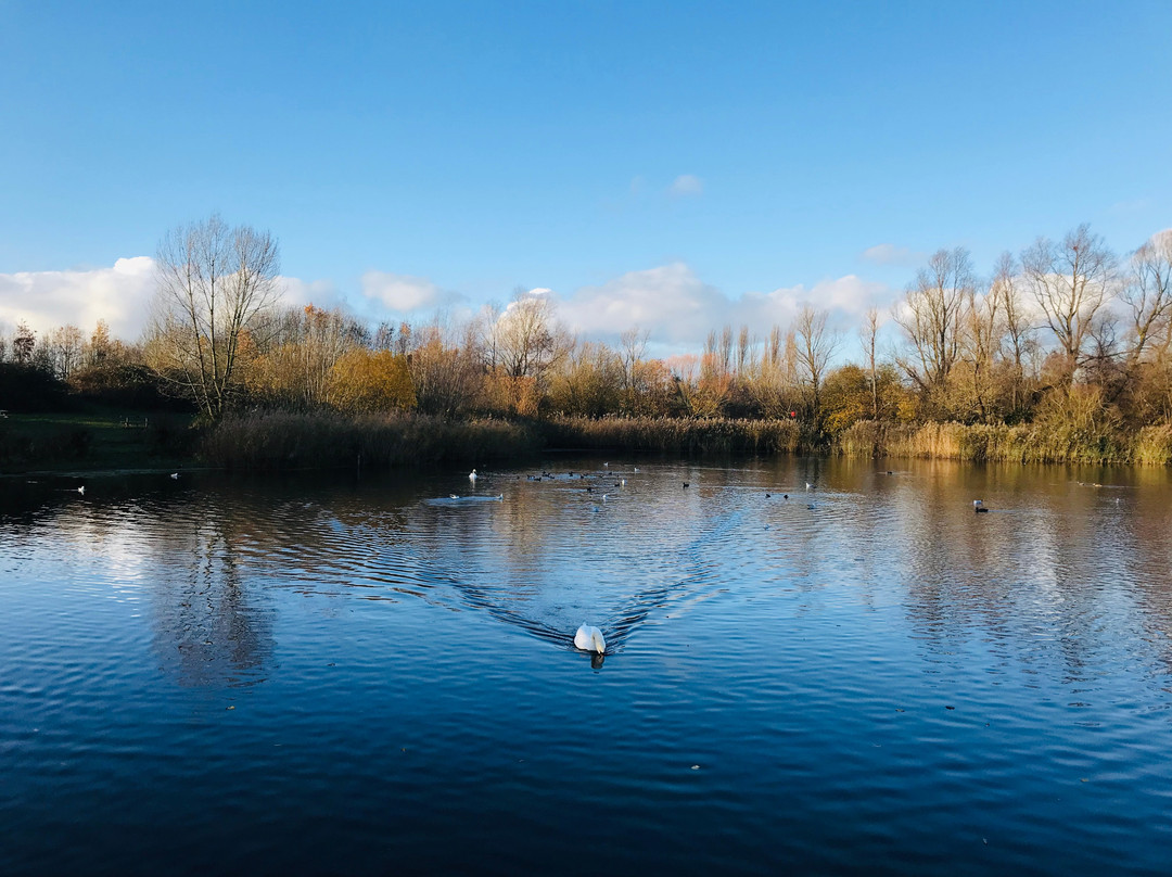 Bedfont Lakes Country Park景点图片