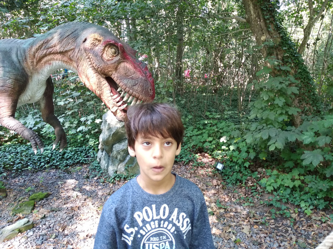 Dino Park景点图片