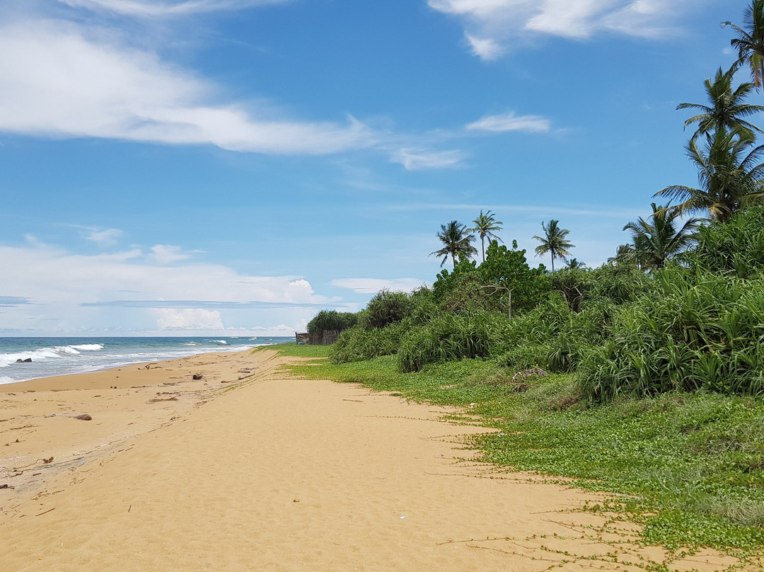 Deminigoda酒店住宿-Bandulas Beach House
