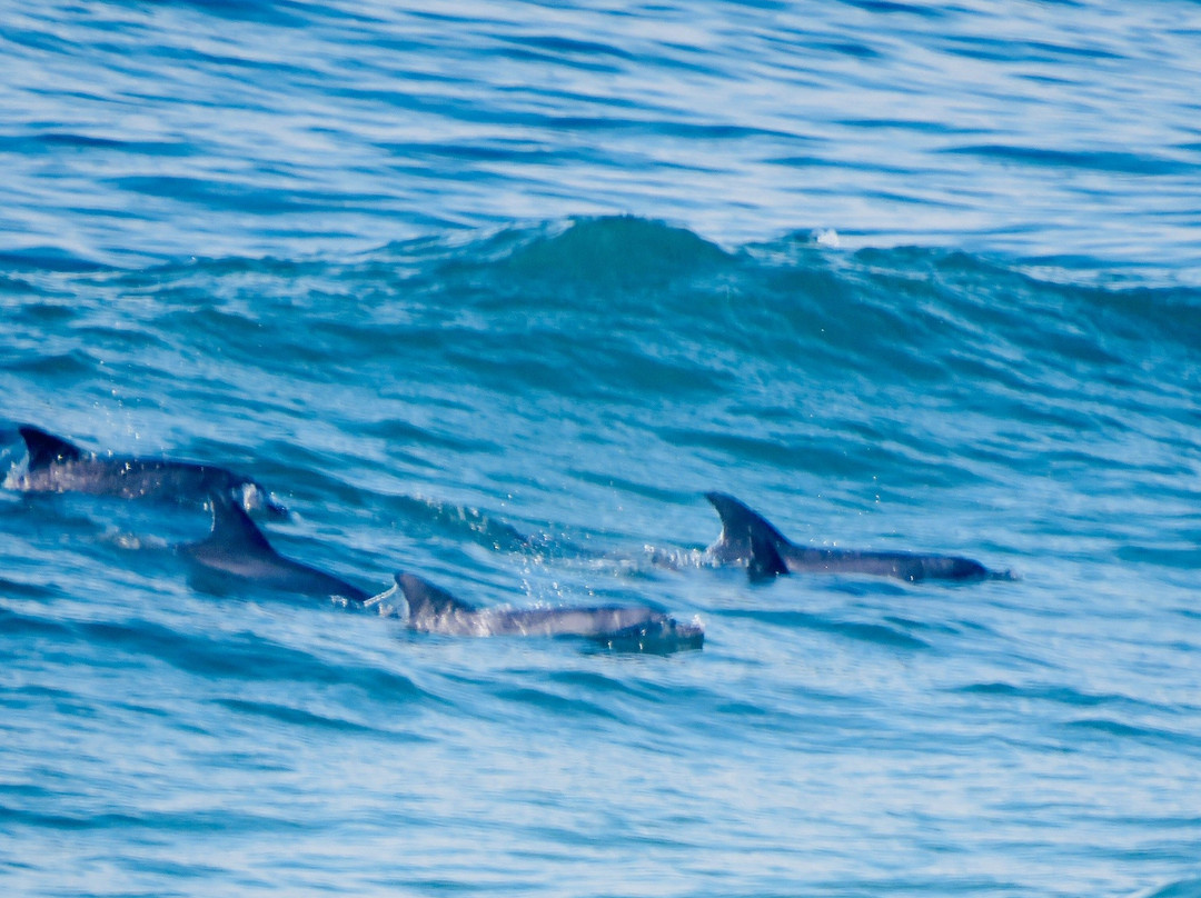 Singing Kettle Beach Lodge主图