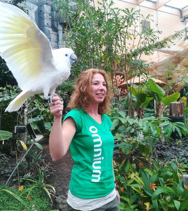 Omnium Sport & Recreatie-Goes必去景点