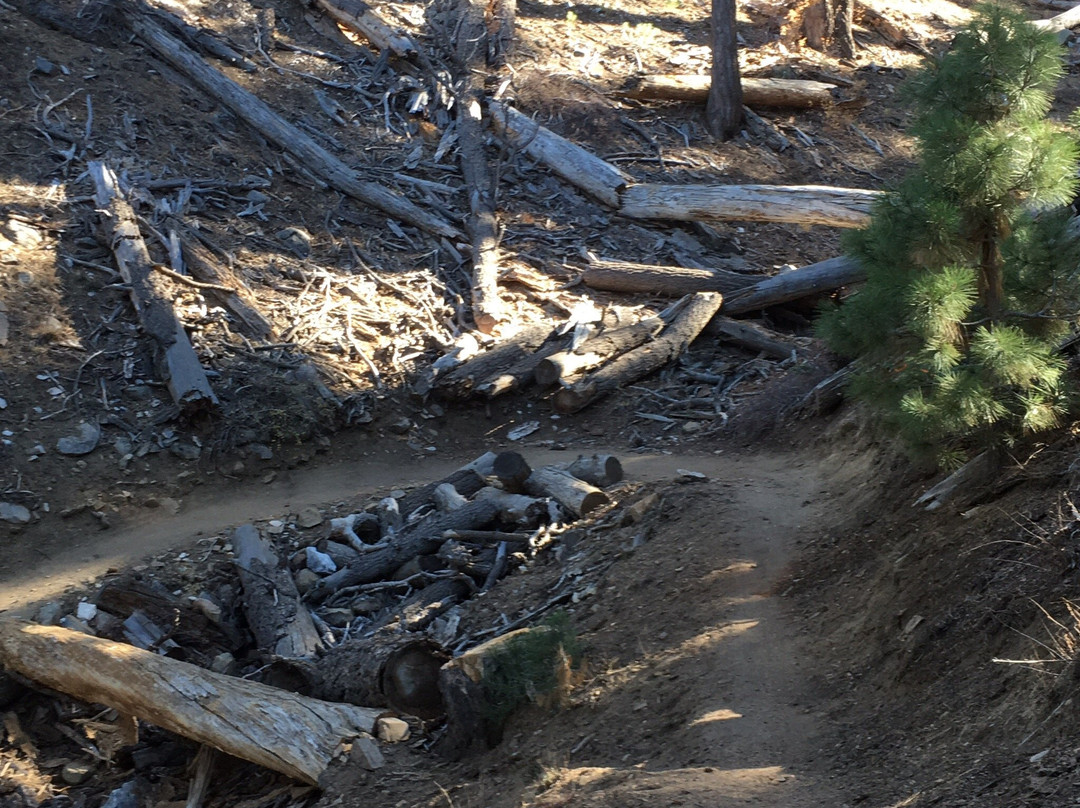 Skyline Trail-大熊湖必去景点