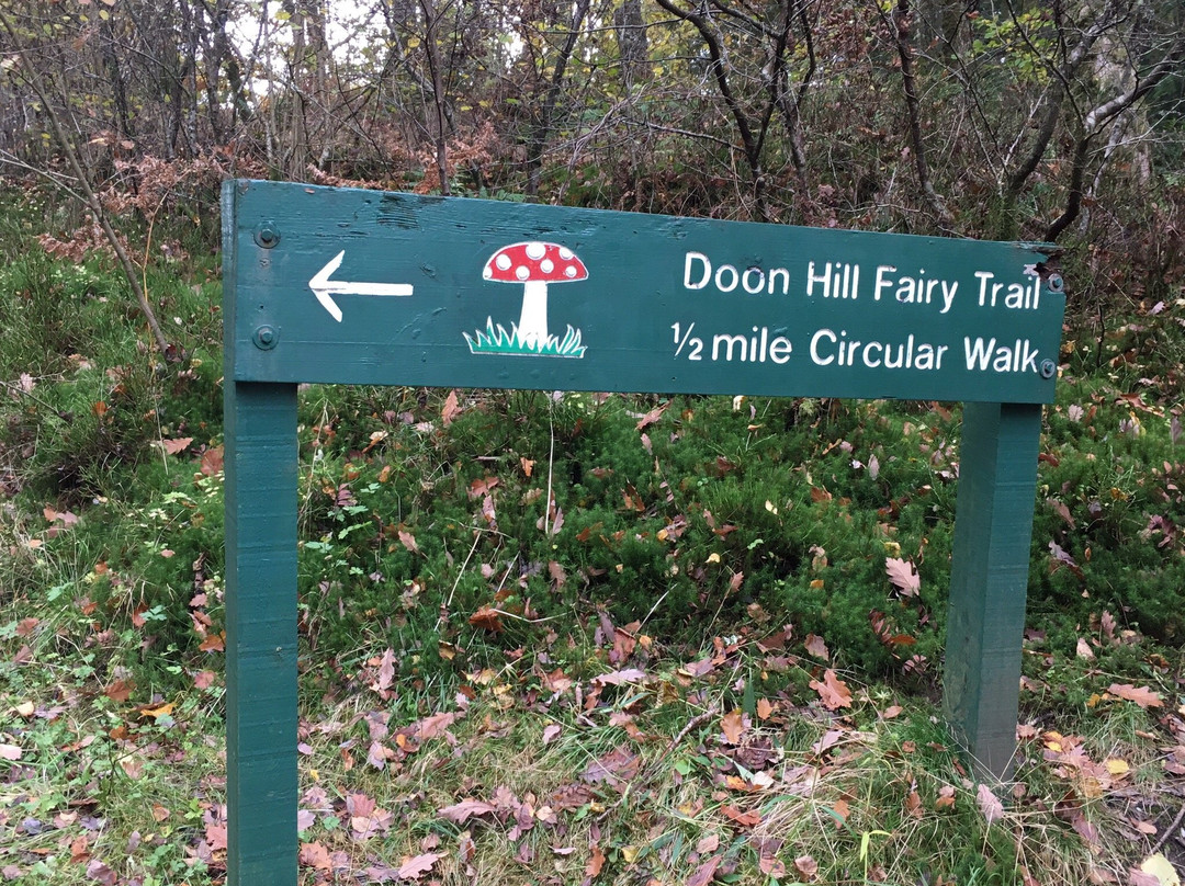 Doon Hill and Fairy Knowe景点图片