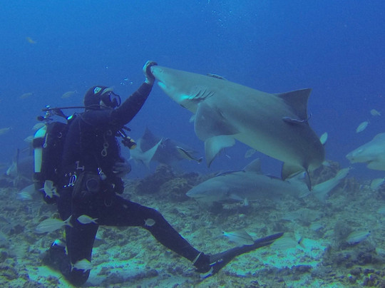 Jupiter Scuba-朱庇特必去景点