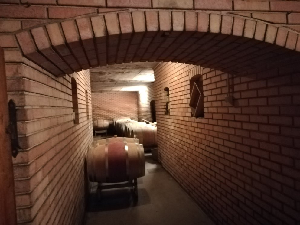 Weingut Feiler-Artinger-Rust必去景点