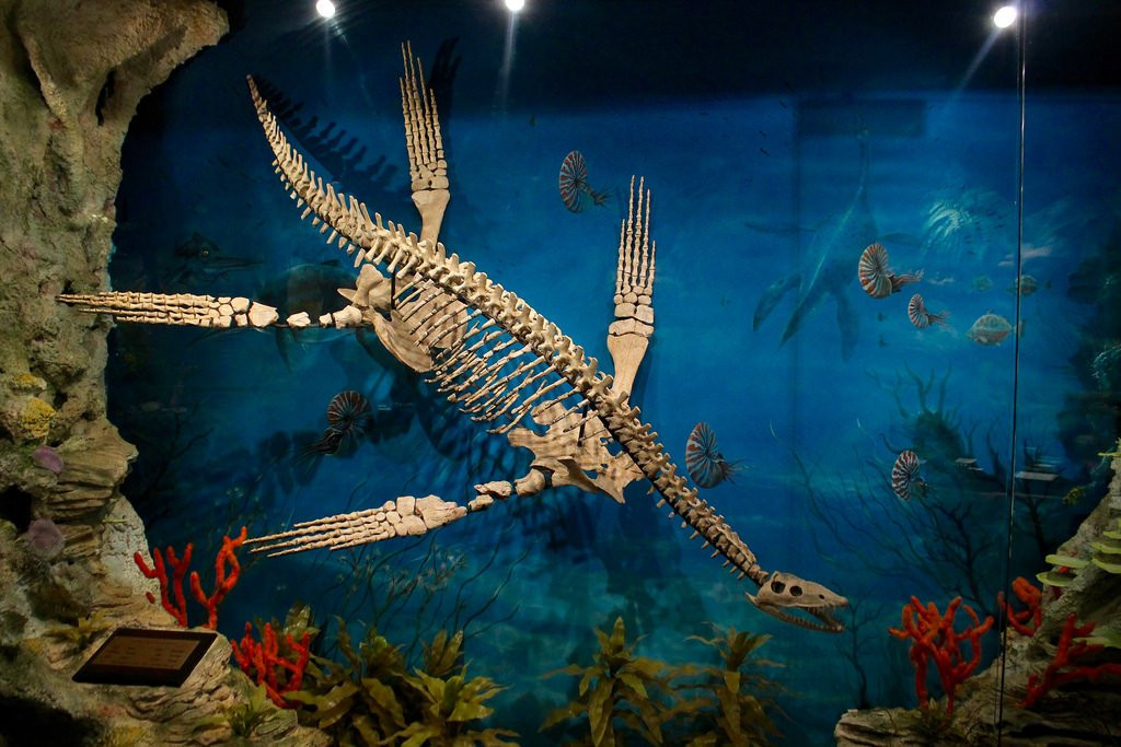 国家澳宝收藏馆-墨尔本必去景点