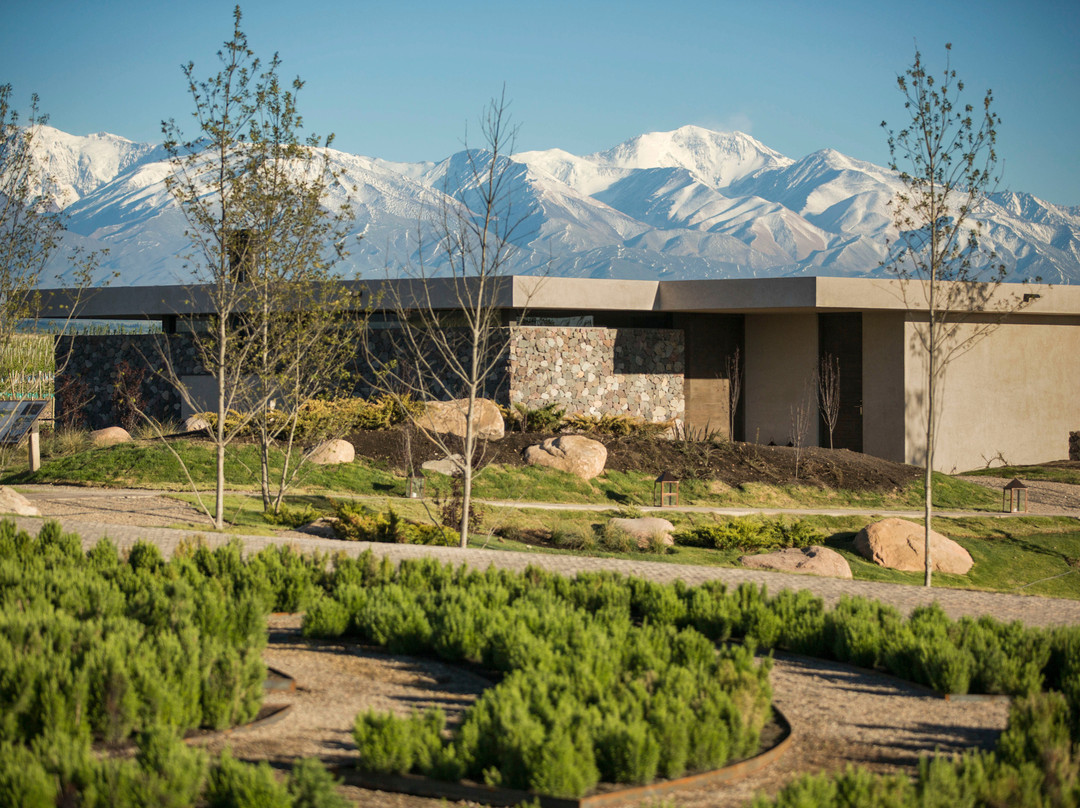 The Vines of Mendoza景点图片