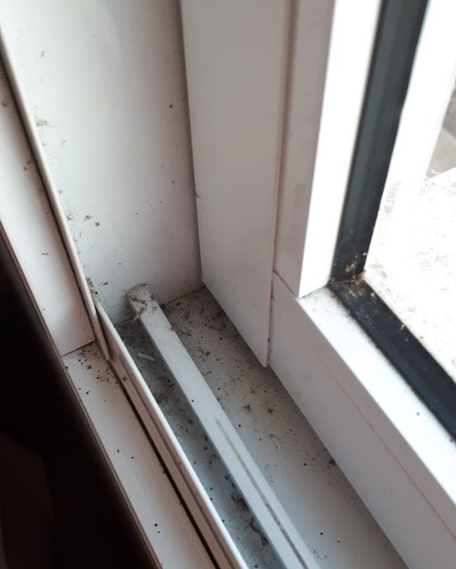 Plaza Hotel Colatina主图