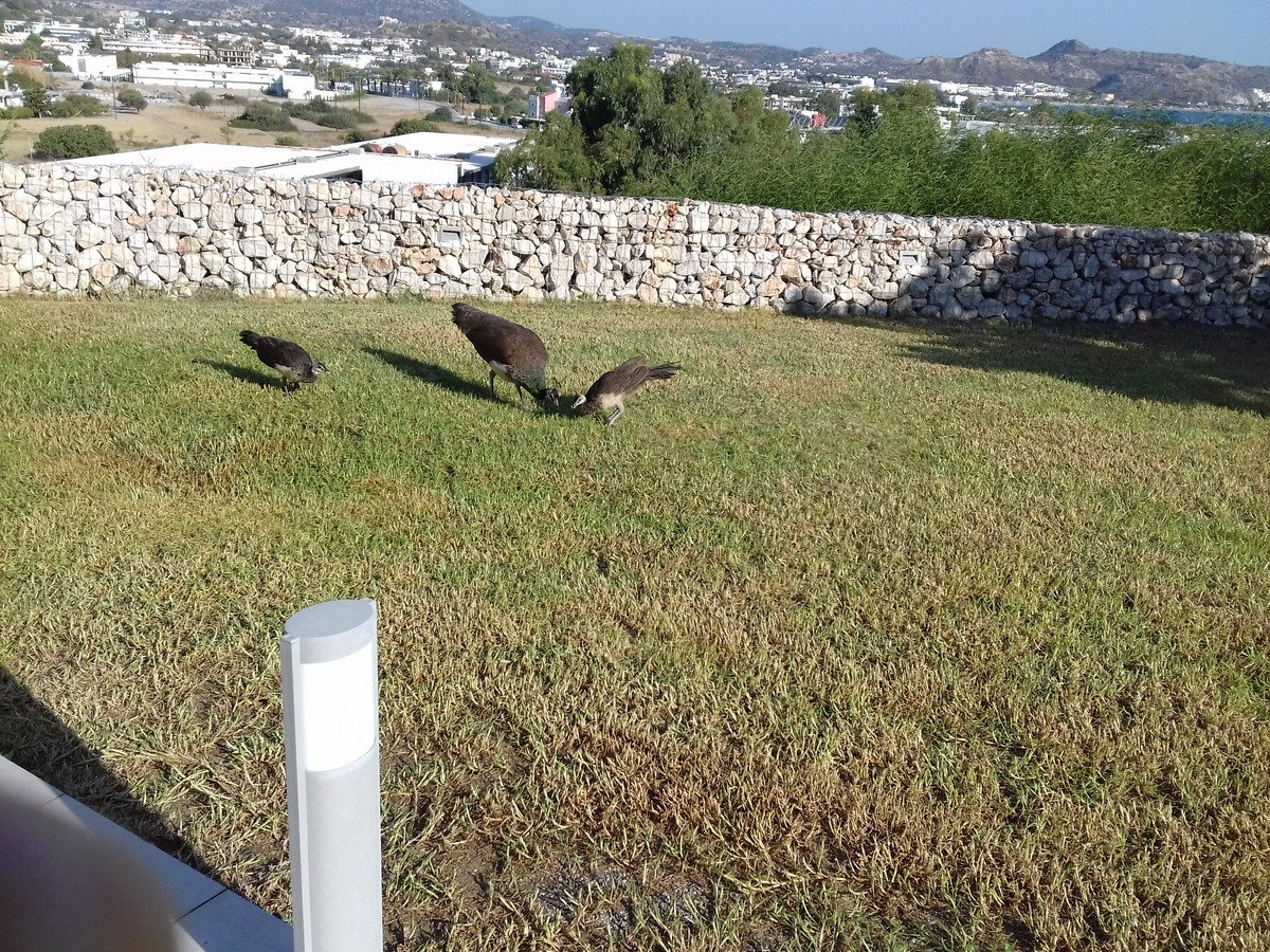 Miva Sea View-浴室