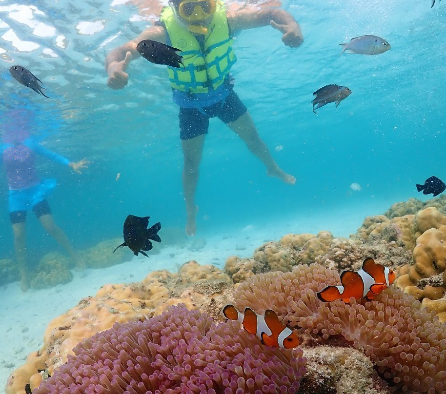 Samaesarn Snorkeling Trip景点图片