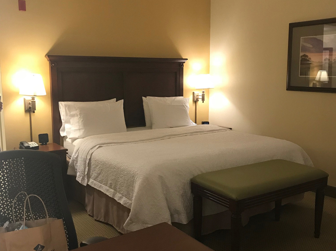 Hampton Inn & Suites North Charleston-University Blvd主图