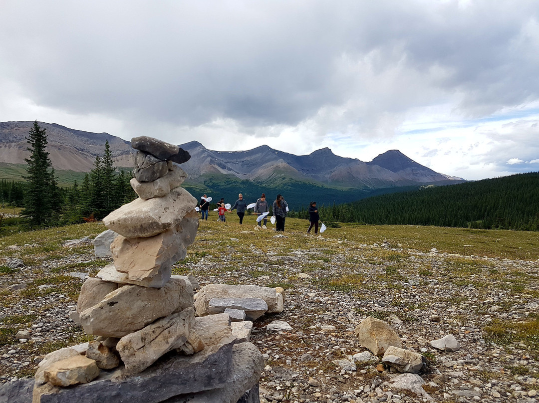 Whitehorse Wildland Provincial Park-Cadomin必去景点