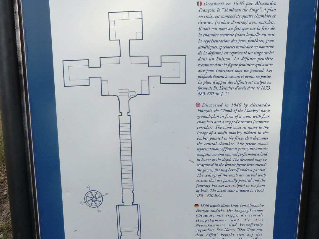 Tomba della Scimmia景点图片
