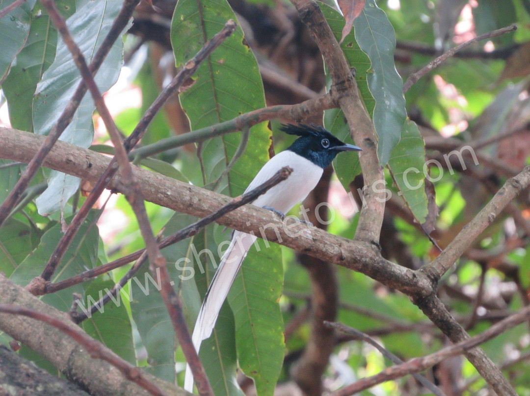 Sherine Tours-Waikkal必去景点