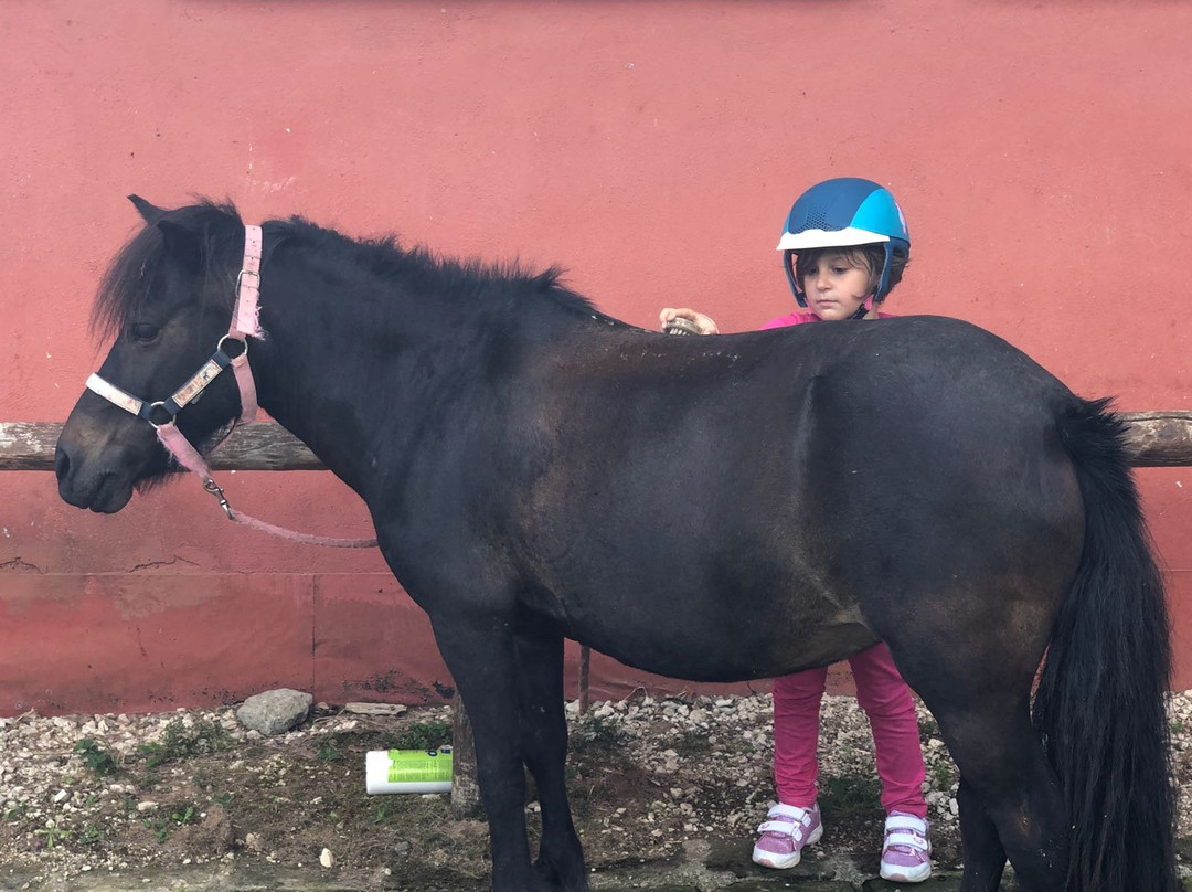 Lori Riding Centre-Manziana必去景点