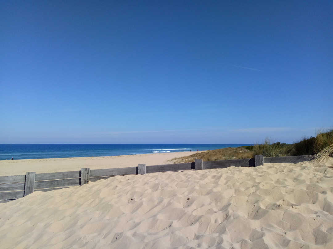 Lakes Entrance Beach景点图片