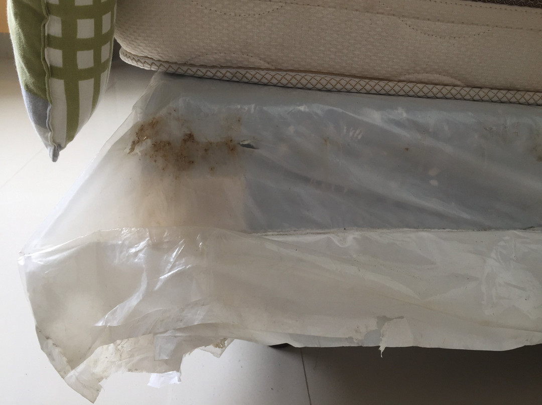 OCEAN CLUB HOTEL & RESORT - PLAYAS主图