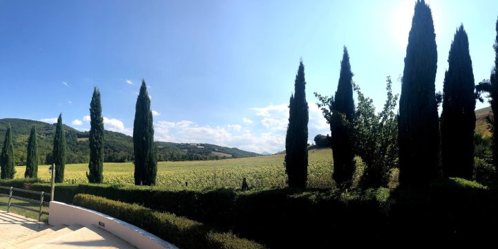 Agriturismo Gli Ippocastani-泳池