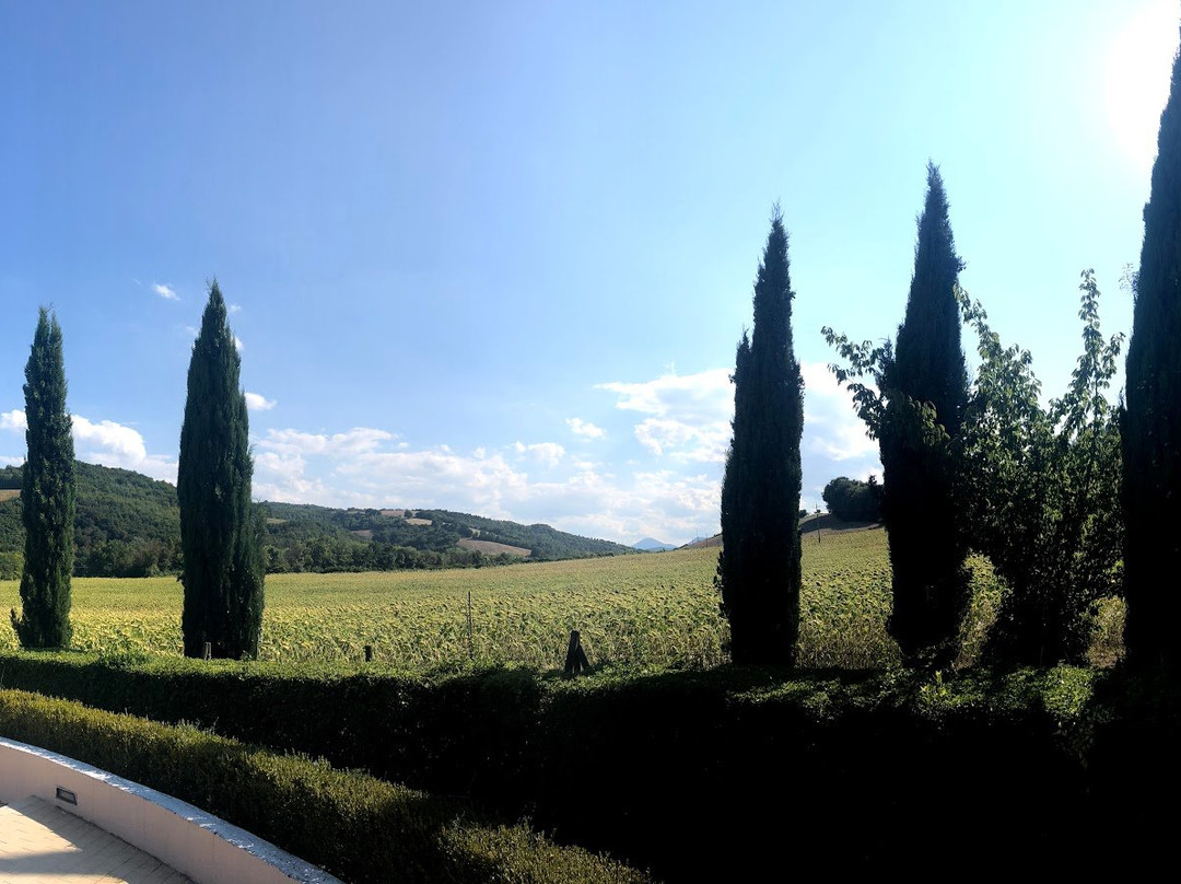 Agriturismo Gli Ippocastani主图