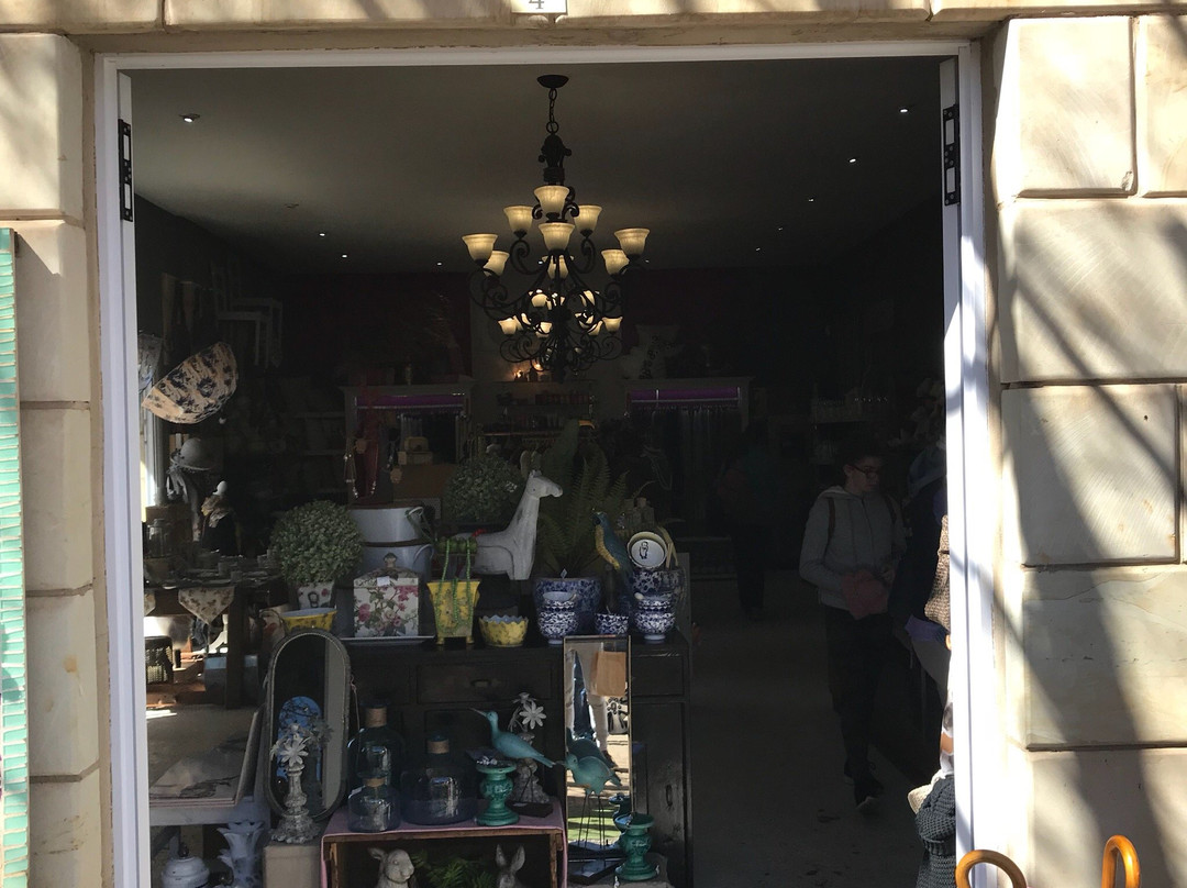 Anja & Friends-克拉伦斯必去景点