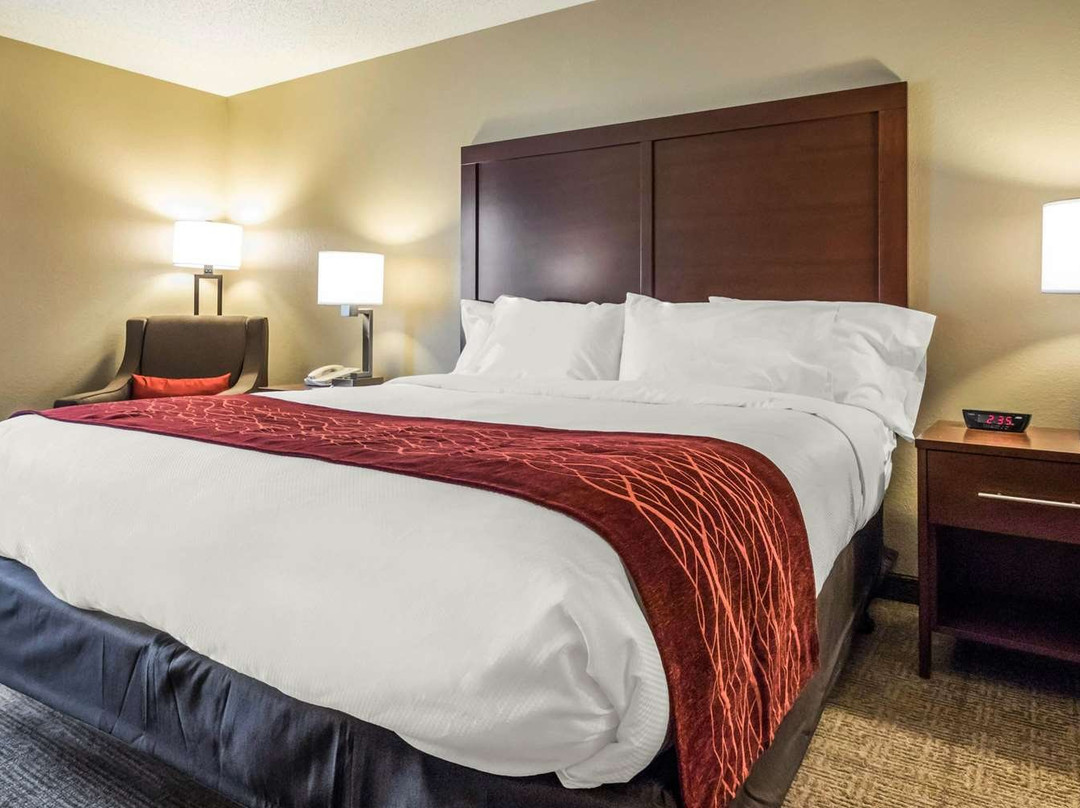Comfort Inn Ottawa Starved Rock Area主图