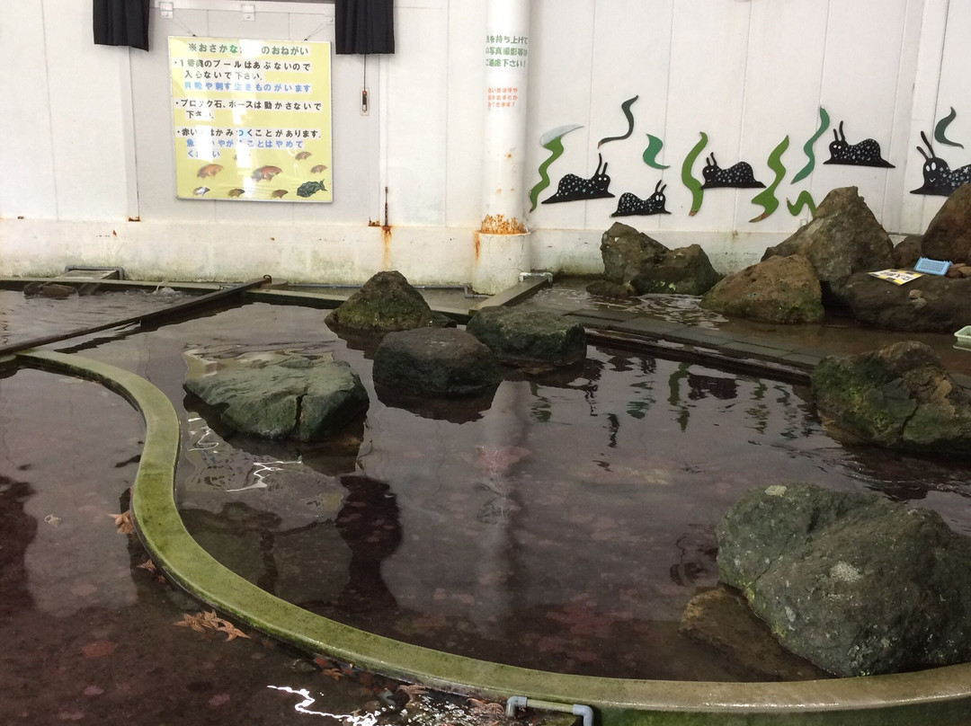 Nagisa Aquarium景点图片