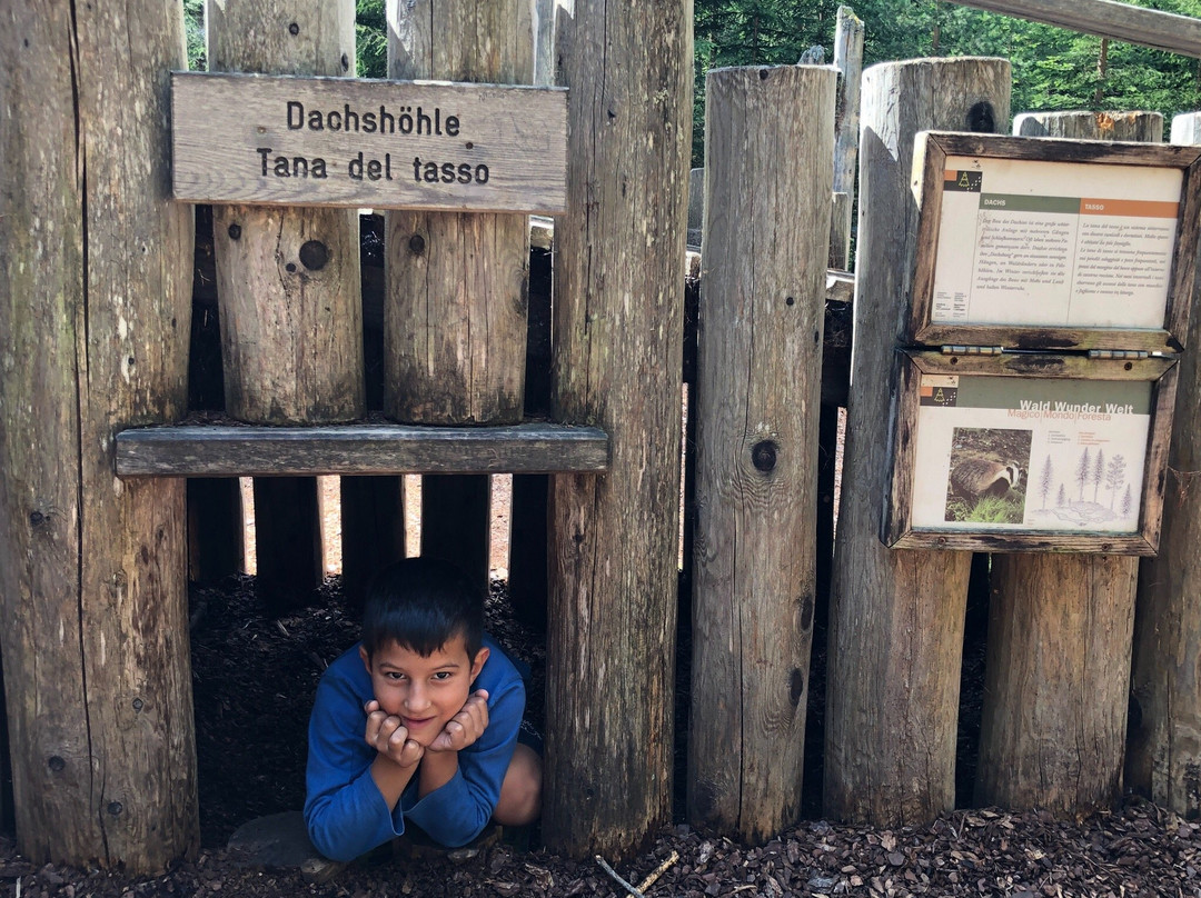 Parco Giochi "Mondo Magico della Foresta"景点图片