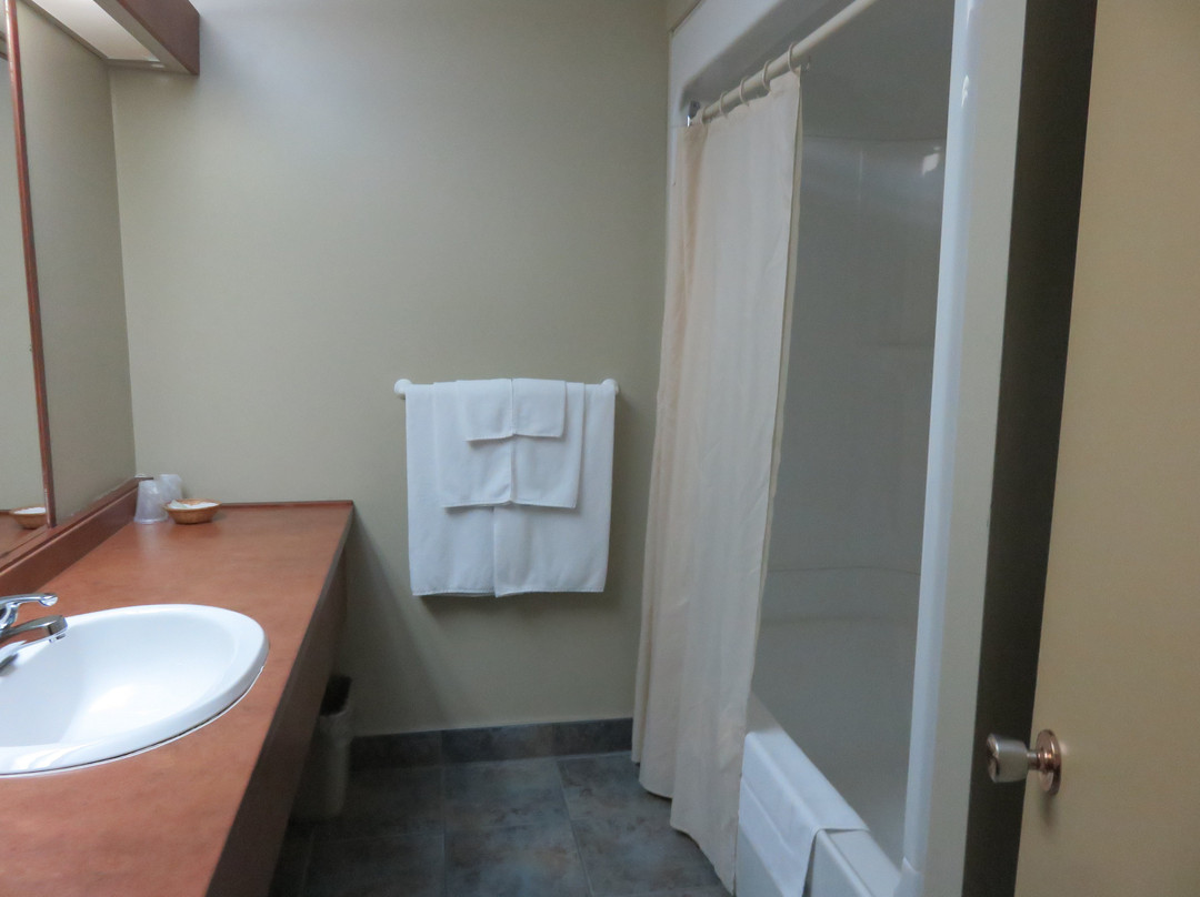 Hôtel Baie Saint Paul主图