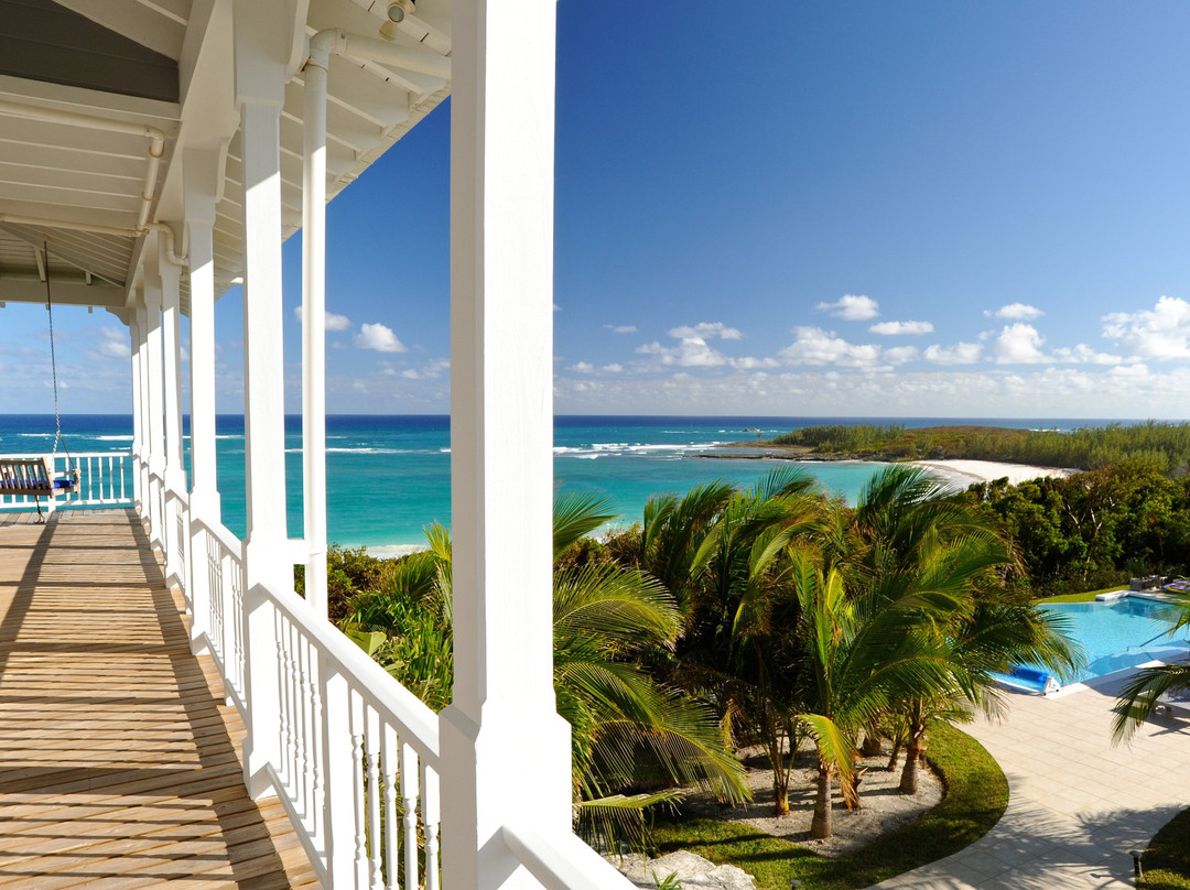 The Delphi Club主图