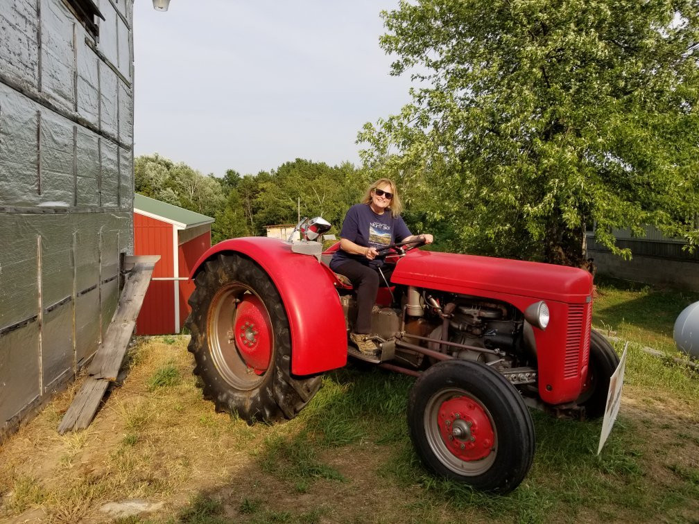 The Jam Farm-拉丁顿必去景点