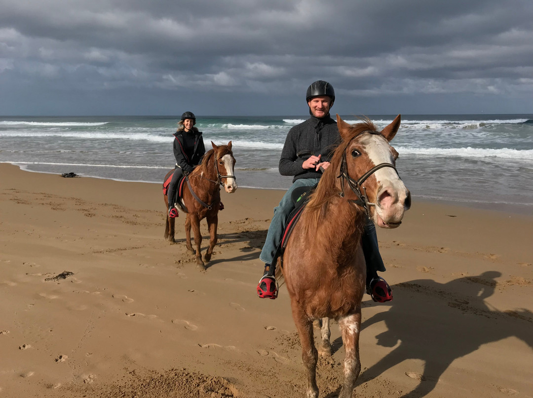 Blazing Saddles-Aireys Inlet必去景点