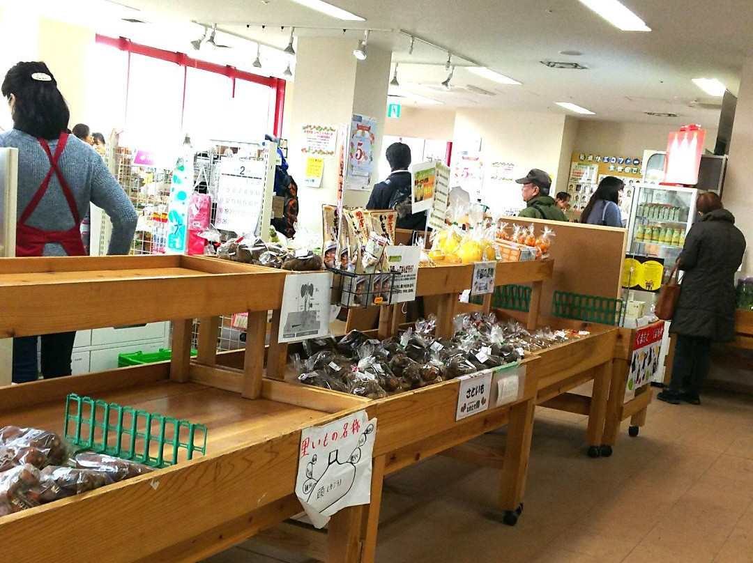 Furusato Niiza Center-新座市必去景点