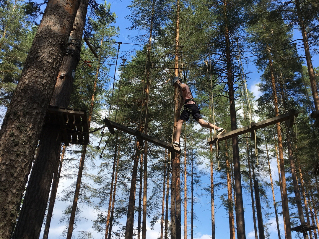 Treetop Adventure Park-Joensuu必去景点