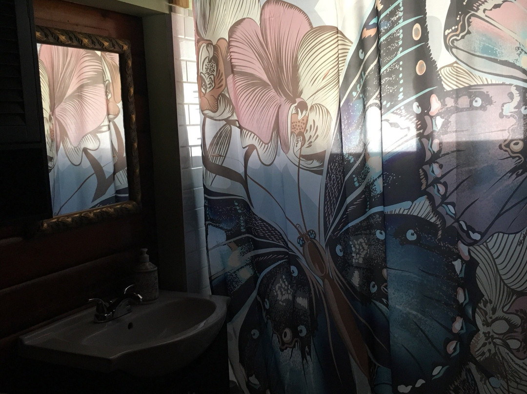 The Cedars Motel主图