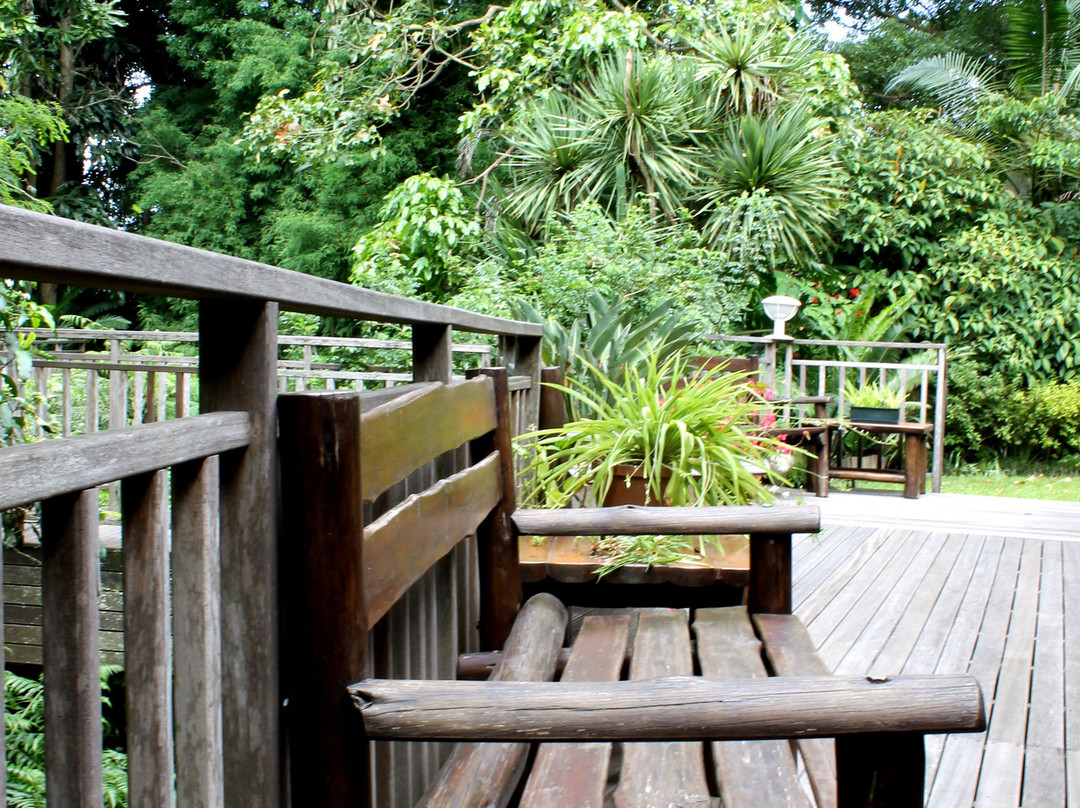 African Tree Lodge主图