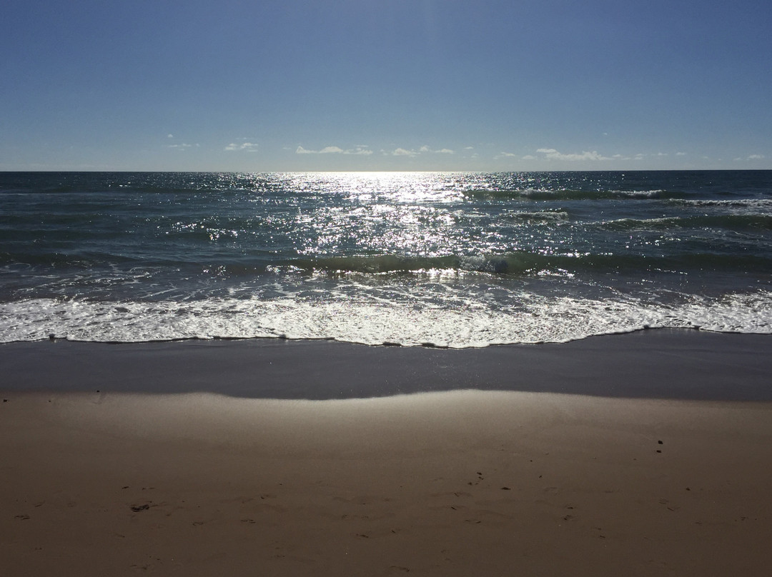 MM Brasil Private Tours-Camacari必去景点