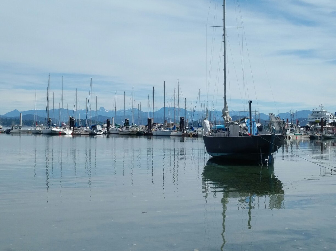 Quadra Island Kayaks - Day Tours景点图片