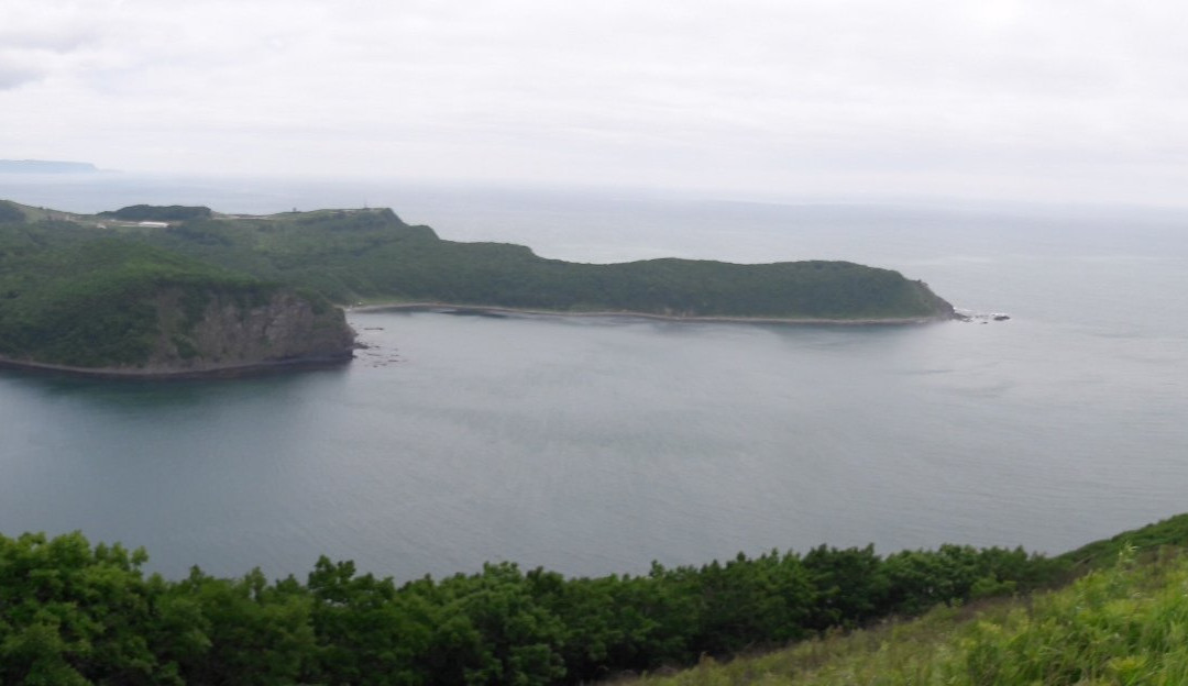 Tungus