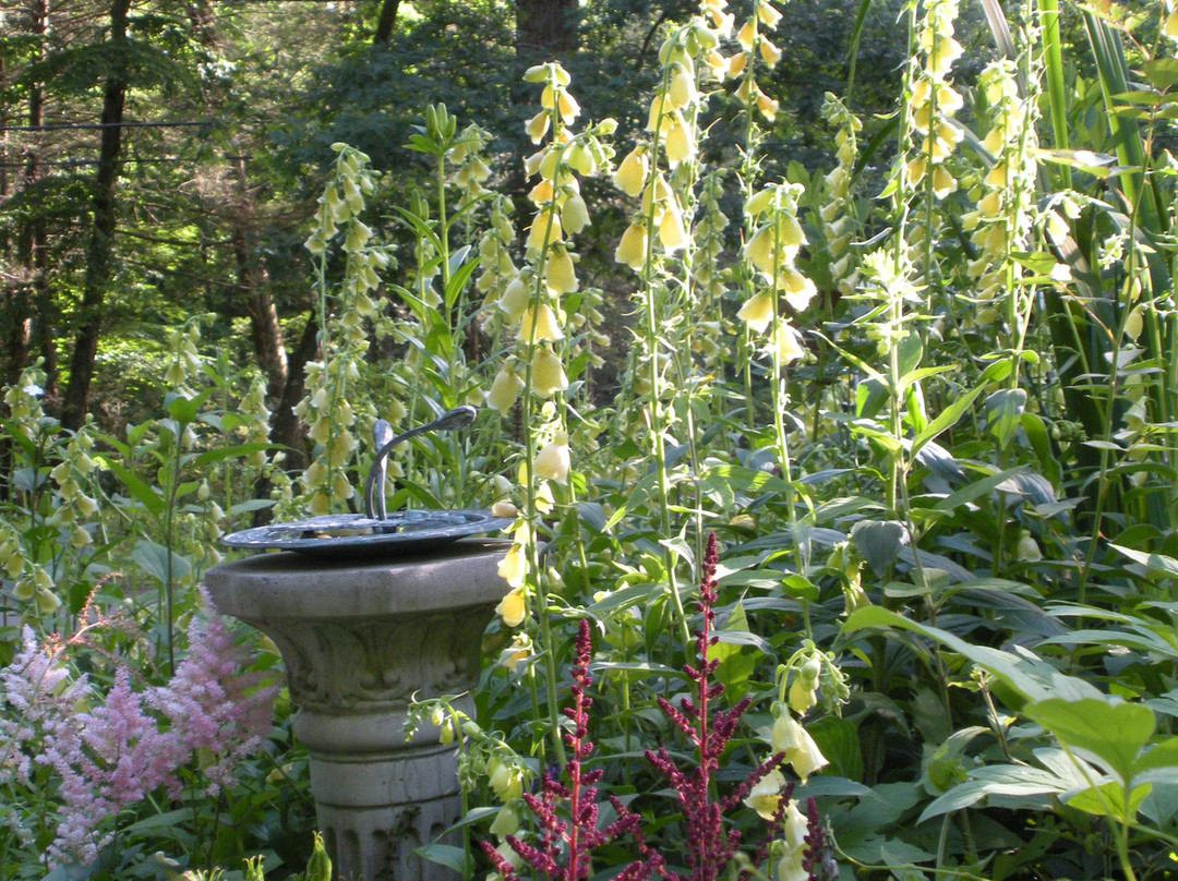 Inn the Woods Bed and Breakfast主图