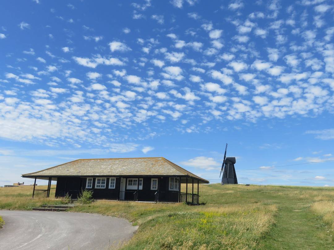 Beacon Hill Local Nature Reserve景点图片