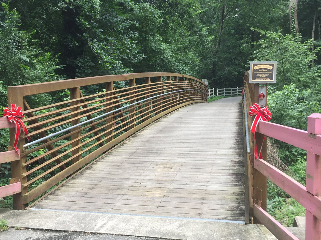 Cape Fear River Trail景点图片