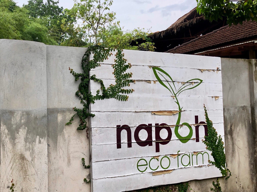 Napoh Eco Farm景点图片
