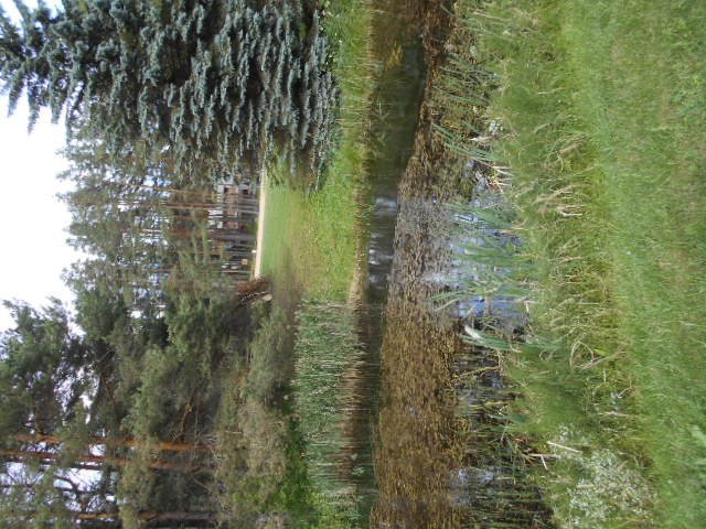 Kubija Hotel and NatureSpa主图