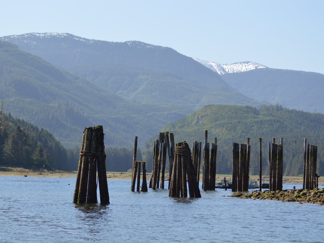 Vancouver Island Photo Tours景点图片