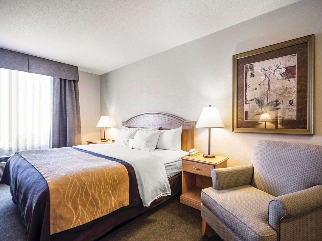 Comfort Inn & Suites主图