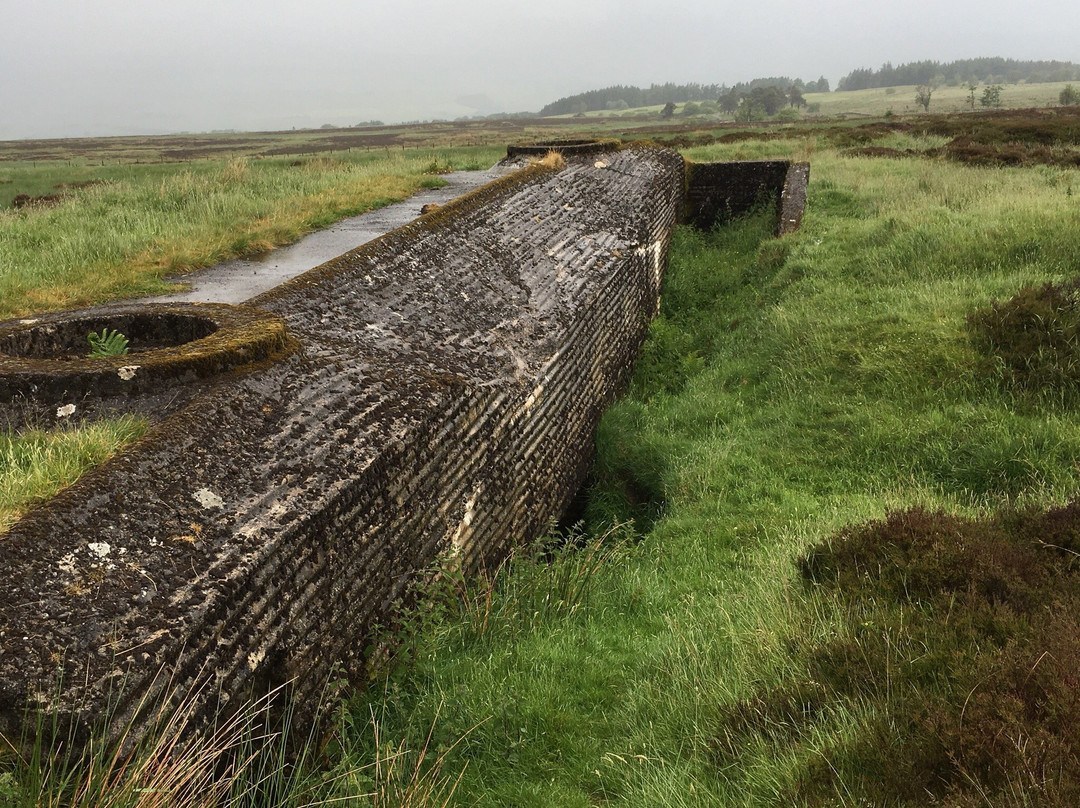 Atlantic Wall on Sheriffmuir景点图片