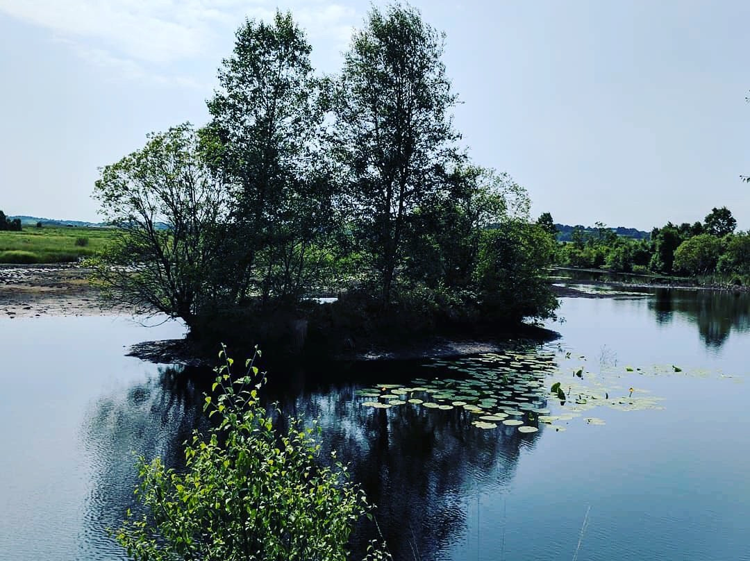 Cors Caron-Tregaron必去景点