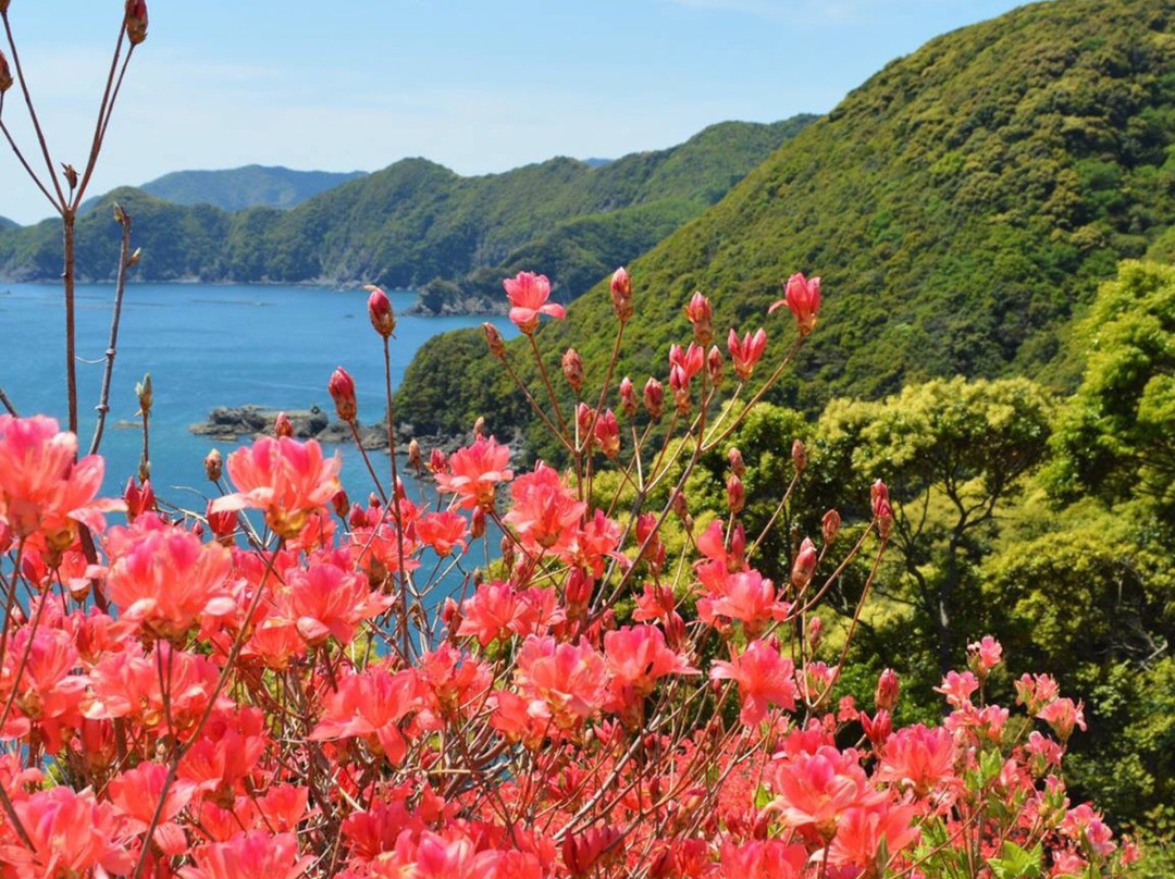 Mt. Akaishi-佐伯市必去景点