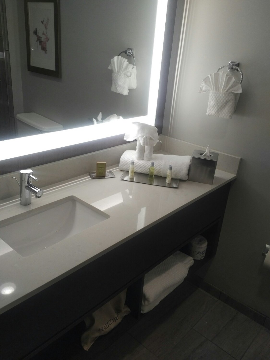 DoubleTree by Hilton St. Paul East-浴室